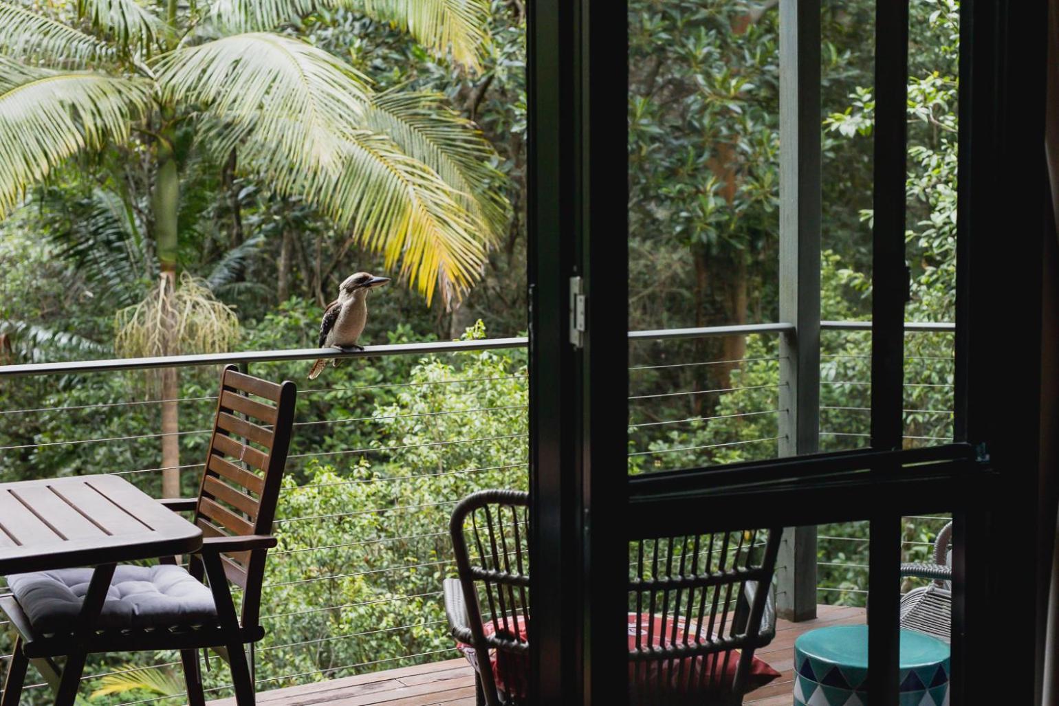 Kondalilla Eco Resort Монтвилл Экстерьер фото