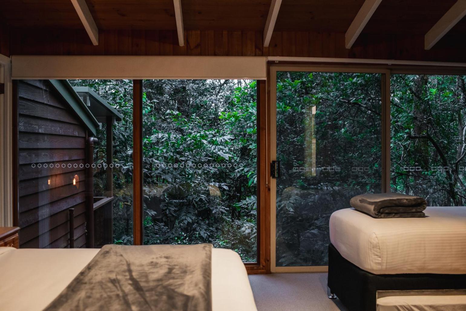Kondalilla Eco Resort Монтвилл Экстерьер фото